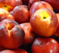 Sunlite Nectarine Picture