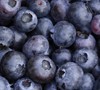 Delite Blueberry