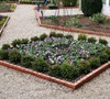 Grace Hendrick Phillips Boxwood