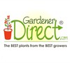 Gardener Direct sells Rouge Cardinal Clematis