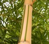 Green Stripe Vivax Bamboo