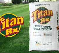 Titan Rx Turf Type Tall Fescue Picture