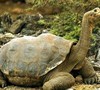 Test 3.0 Picture