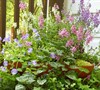 Stack and Grow Plant flower garden