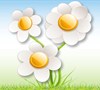 Gardenality sells Parrot Leaf