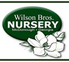 Wilson Bros Nursery sells Golden Euonymus