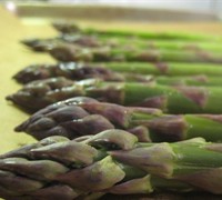 Asparagus Picture