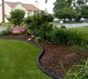 Mixed Shrub Border in Progress