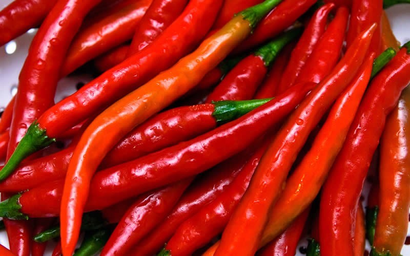 Gardenality.com  Members  Pictures  Cayenne Pepper Picture