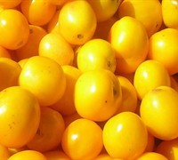 Yellow Plum Tomato Picture