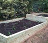Initial 2010 Planting after build-out of raised bed