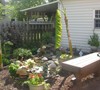 My water garden