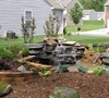 WaterGarden 5/15/11
