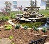 Pond 5/31/2011
