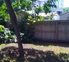 Backyard Fence Area
