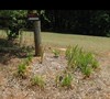 Before Left side of driveway 6/14/11