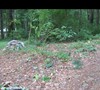 2 WEEKS LATER 6/17/11