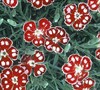 Spangled Star Dianthus