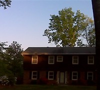 Picture of Pam Donohue