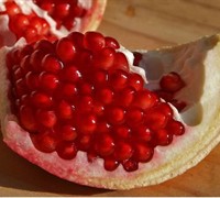 Russian 26 Pomegranate Picture