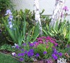 Entry Flower Bed Garden