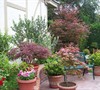 North Garden and Patio