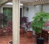 Rear Maple Patio