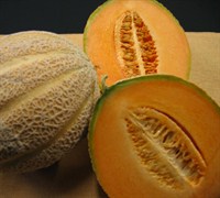 Ambrosia Cantaloupe Picture