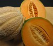 Ambrosia Cantaloupe