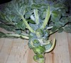 Brussels Sprouts
