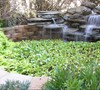 WaterGarden Picture