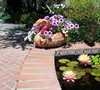 SMALL FORMAL POND