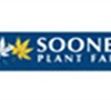 Sooner Plant Farm Inc sells Abelia Kaleidoscope