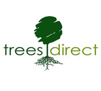 Trees Direct Logo