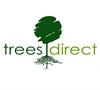 Trees Direct sells Giant Arborvitae