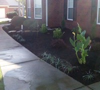 Picture of Pro-Vision Lawncare&Landscaping
