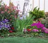 Brittany's Garden-Winter