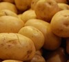 Yukon Gold Potato