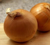 Stuttgarter Reisen Yellow Onion Picture