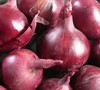 Comred Onion Picture