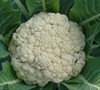 Snow Crown Cauliflower