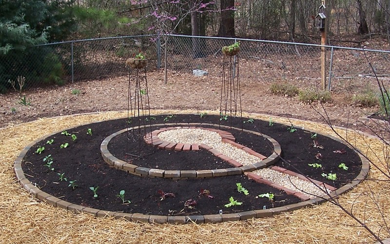 Keyhole Vegetable Garden Picture