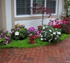 Entry Patio Garden