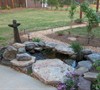 Our Pond
