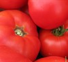 Big Beef Tomato
