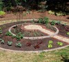Keyhole Vegetable Garden Picture