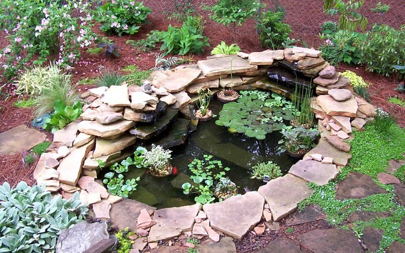 Pond Garden Picture
