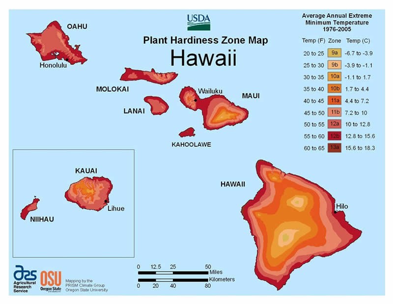 Hawaii Climate Zones Map