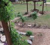Wisteria and garden swing