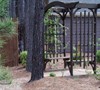 Garden arbor with Carolina jasmine
